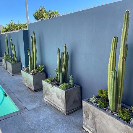 Splash Boutique Guesthouse Cape Town Eksteriør bilde